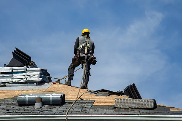 Professional Metal Roofing technician working in Alamo, TX